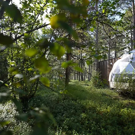 Glod Aurora Canvas Dome Lyxtält