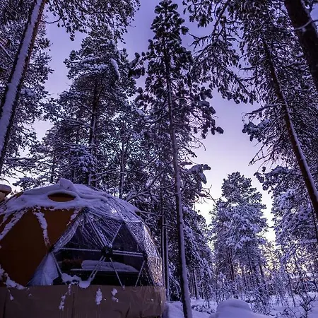 Glod Aurora Canvas Dome