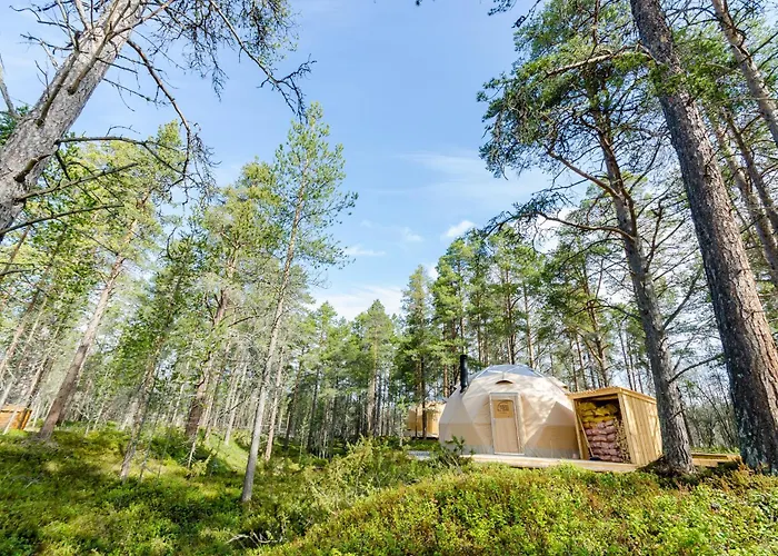 Glod Aurora Canvas Dome Tente de luxe *