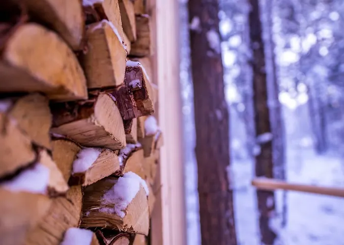 Glod Aurora Canvas Dome Alta