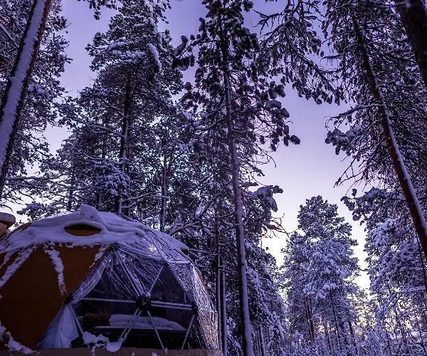 Glod Aurora Canvas Dome