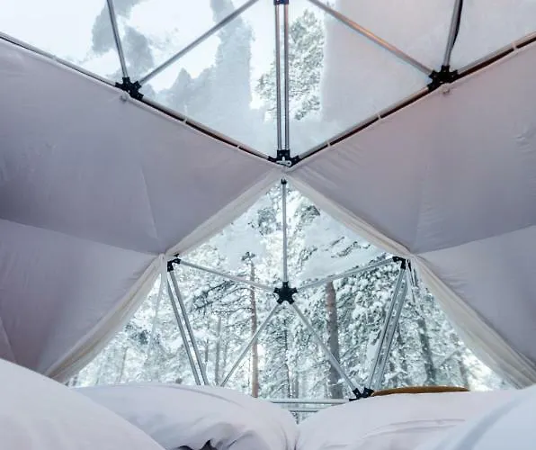 Glod Aurora Canvas Dome