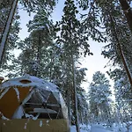 豪华帐篷 Glod Aurora Canvas Dome
