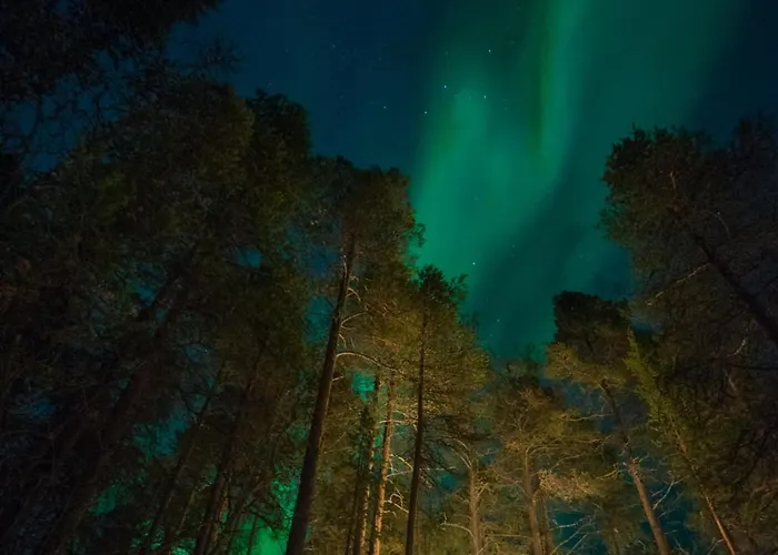 Lyxtält Glod Aurora Canvas Dome *